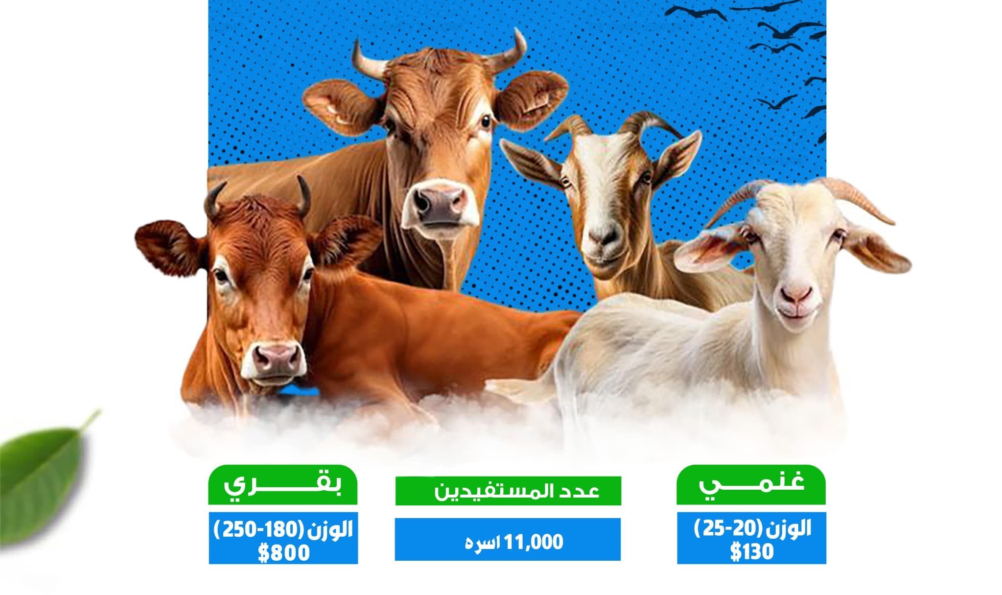 شارك معنا فبـأضحيتك.. فرحة تُهدى ورحمة تنشر